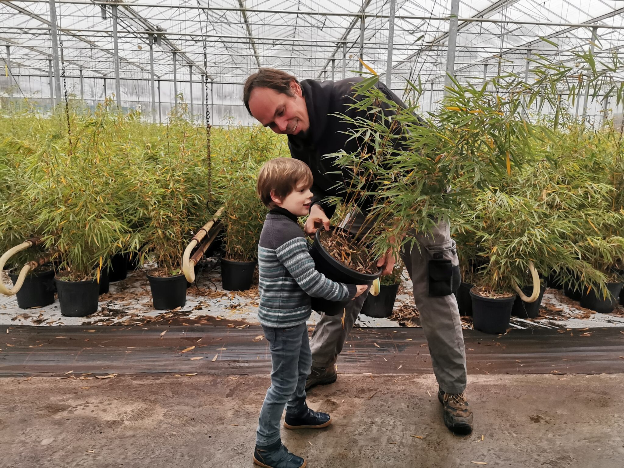 Bamboe wandpanelen | | Snelle levering